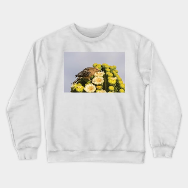 Male Gila Woodpecker Feeding On Cactus Blossom Funny Crewneck Sweatshirt by TaivalkonAriel